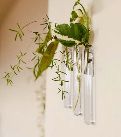 Väggmonterad vas för hydrokultur – Stilren och praktisk design