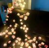 FloralShine – Elegant blomsterbelysning för en magisk atmosfär